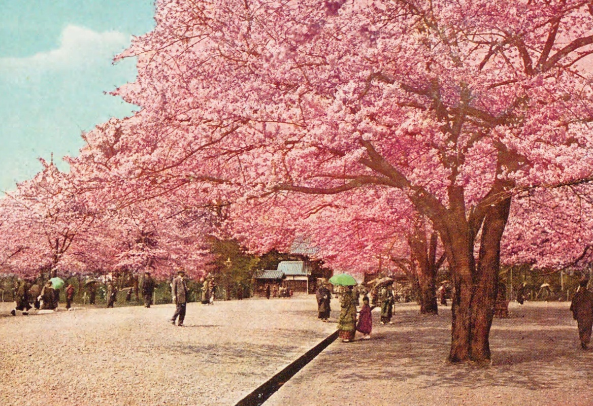 For remembrance : sixty views of sights and scenes in unique Japan