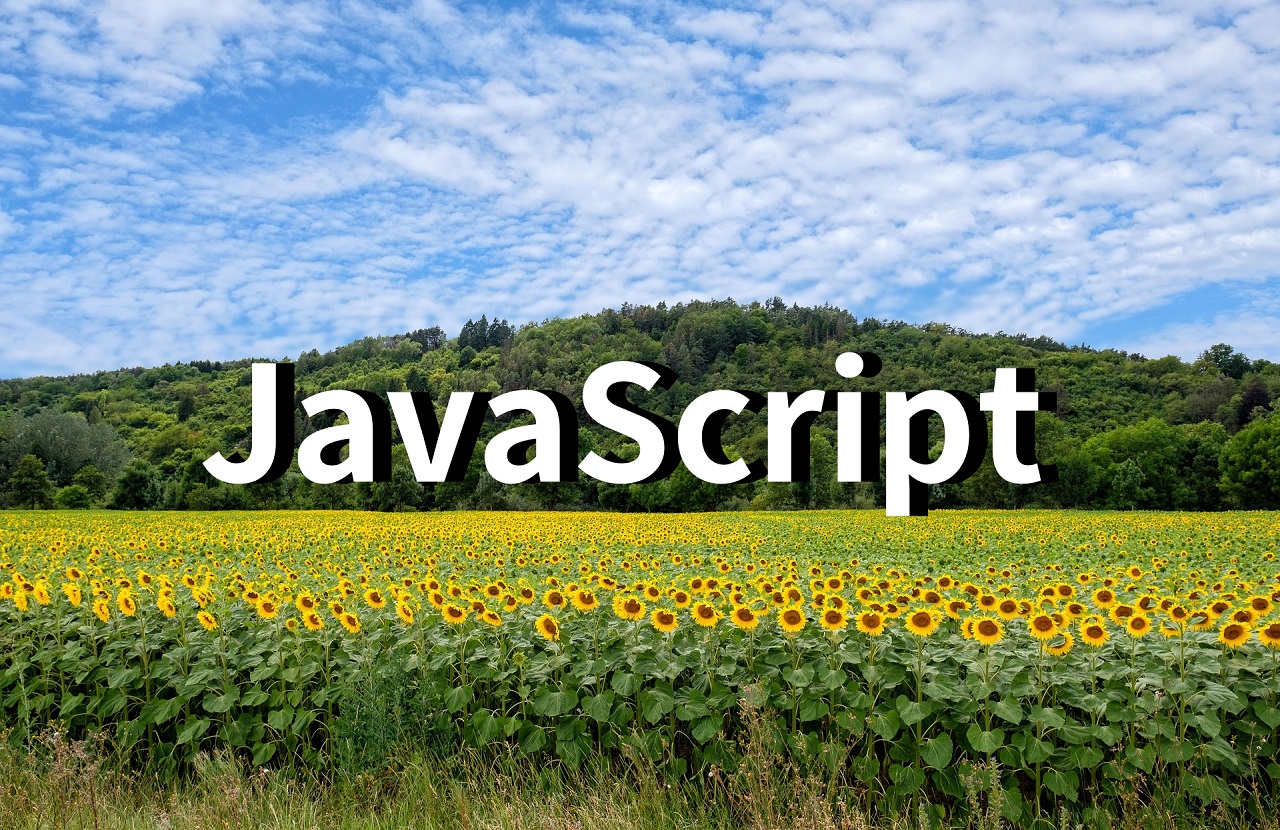 JavaScript