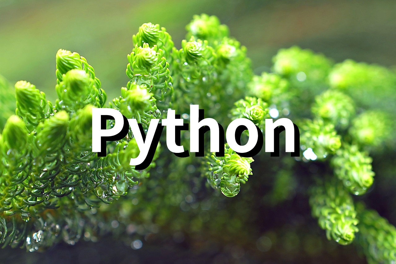 python