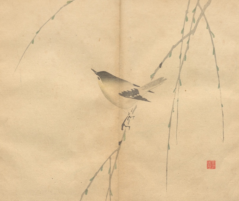 玉洲習画帖 第4巻 柳に鶯