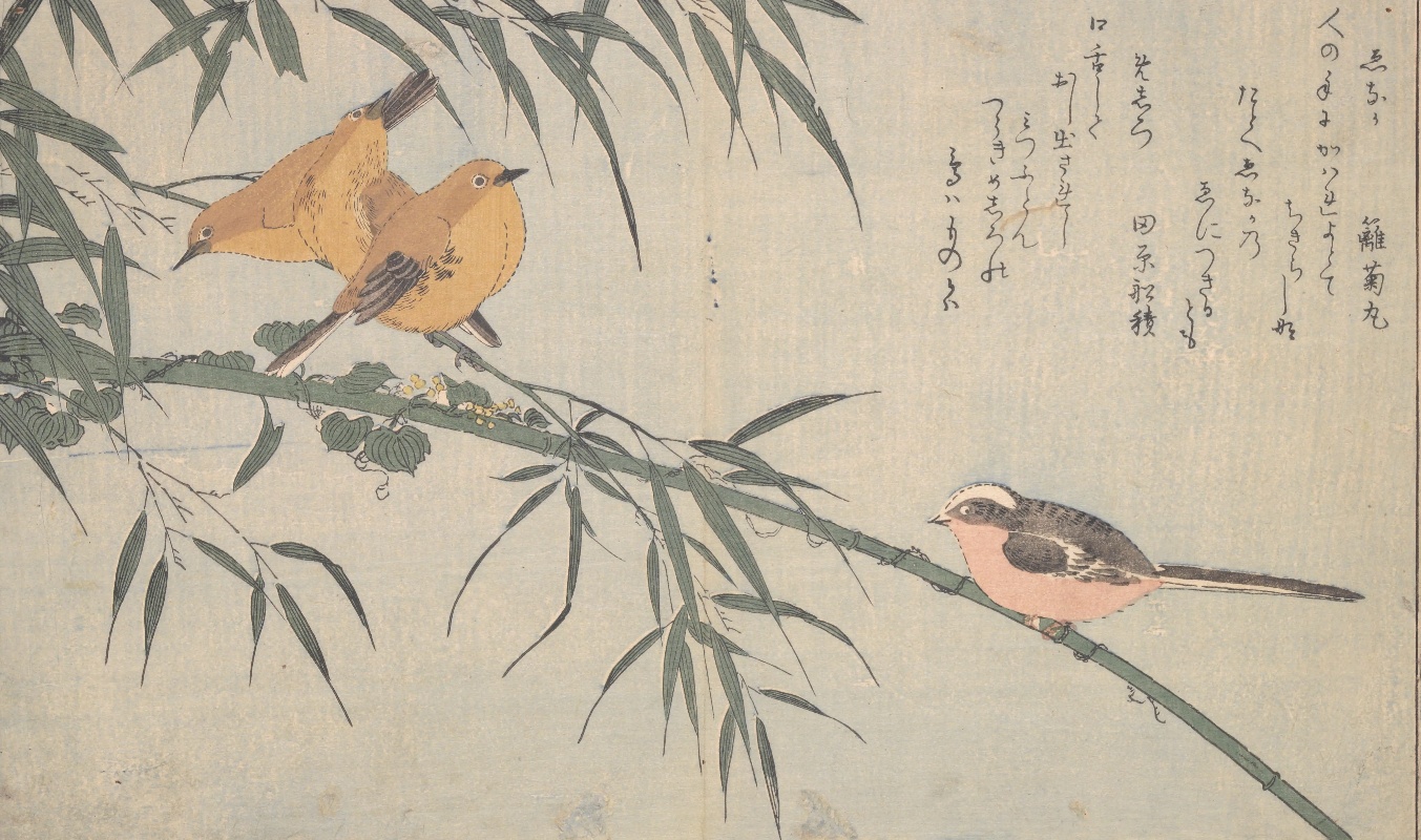 ゑなか　めしろ